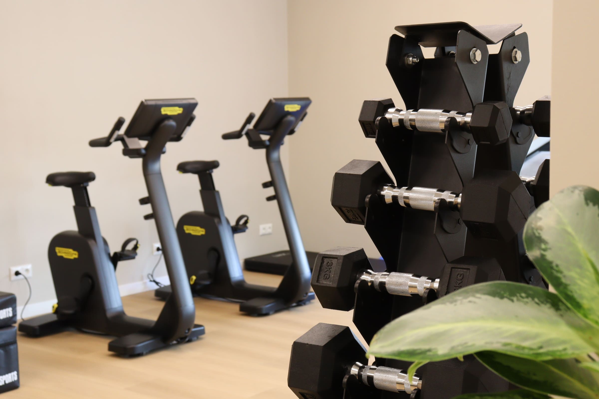 Hometrainers en dumbbells in de oefenzaal van Fysiotherapie Next
